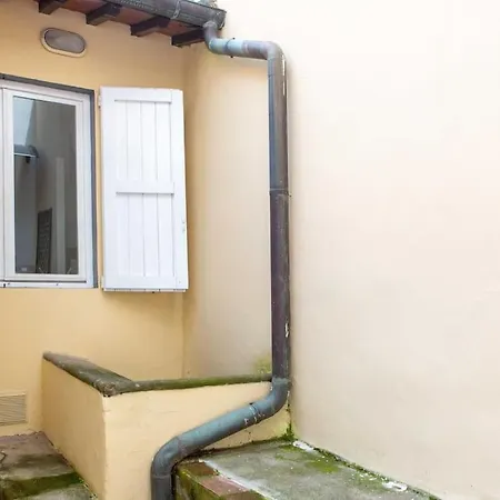 Romana 4 Bedrooms With Garden Appartamento Firenze